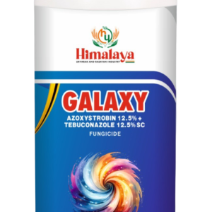 हिमालय गैलेक्सी